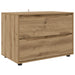 Dulap de depozitare 80 x 48 x 57 cm Lemn prelucrat - WALTI WALTI