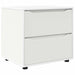 Dulap de depozitare Alb 60 x 48 x 57 cm Lemn compozit - WALTI WALTI