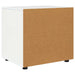 Dulap de depozitare Alb 60 x 48 x 57 cm Lemn compozit - WALTI WALTI