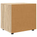 Dulap de depozitare Stejar Sonoma 60 x 48 x 57 cm Lemn compozit - WALTI WALTI