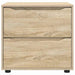 Dulap de depozitare Stejar Sonoma 60 x 48 x 57 cm Lemn compozit - WALTI WALTI