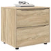 Dulap de depozitare Stejar Sonoma 60 x 48 x 57 cm Lemn compozit - WALTI WALTI