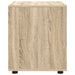 Dulap de depozitare Stejar Sonoma 60 x 48 x 57 cm Lemn compozit - WALTI WALTI