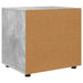 Dulap de depozitare Gri din beton 60 x 48 x 57 cm Lemn compozit - WALTI WALTI