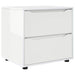 Dulap de depozitare Alb lucios 60 x 48 x 57 cm Lemn compozit - WALTI WALTI