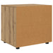 Dulap de depozitare 60 x 48 x 57 cm Lemn prelucrat - WALTI WALTI