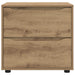 Dulap de depozitare 60 x 48 x 57 cm Lemn prelucrat - WALTI WALTI