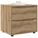 Dulap de depozitare 60 x 48 x 57 cm Lemn prelucrat - WALTI WALTI