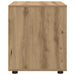 Dulap de depozitare 60 x 48 x 57 cm Lemn prelucrat - WALTI WALTI