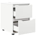 Dulap de depozitare Alb 40 x 48 x 57 cm Lemn compozit - WALTI WALTI
