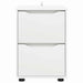 Dulap de depozitare Alb 40 x 48 x 57 cm Lemn compozit - WALTI WALTI