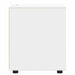 Dulap de depozitare Alb 40 x 48 x 57 cm Lemn compozit - WALTI WALTI