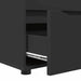 Dulap de depozitare Negru 40 x 48 x 57 cm Lemn compozit - WALTI WALTI