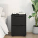 Dulap de depozitare Negru 40 x 48 x 57 cm Lemn compozit - WALTI WALTI