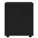 Dulap de depozitare Negru 40 x 48 x 57 cm Lemn compozit - WALTI WALTI
