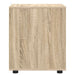 Dulap de depozitare Stejar Sonoma 40 x 48 x 57 cm Lemn compozit - WALTI WALTI