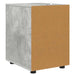 Dulap de depozitare Gri din beton 40 x 48 x 57 cm Lemn compozit - WALTI WALTI