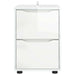 Dulap de depozitare Alb lucios 40 x 48 x 57 cm Lemn compozit - WALTI WALTI