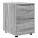 Dulap de depozitare Gri Sonoma 40 x 48 x 57 cm Lemn compozit - WALTI WALTI