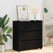 Dulap de depozitare Negru 80 x 31 x 81 cm Lemn compozit - WALTI WALTI