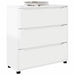 Dulap de depozitare Alb lucios 80 x 31 x 81 cm Lemn compozit - WALTI WALTI