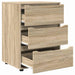 Dulap de depozitare Stejar Sonoma 60 x 48 x 81 cm Lemn compozit - WALTI WALTI