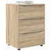 Dulap de depozitare Stejar Sonoma 60 x 48 x 81 cm Lemn compozit - WALTI WALTI