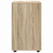 Dulap de depozitare Stejar Sonoma 60 x 48 x 81 cm Lemn compozit - WALTI WALTI