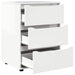 Dulap de depozitare Alb lucios 60 x 48 x 81 cm Lemn compozit - WALTI WALTI