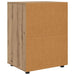 Dulap de depozitare Stejar Artizanal 60 x 48 x 81 cm - WALTI WALTI