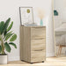 Dulap de depozitare Stejar Sonoma 40 x 48 x 81 cm Lemn compozit - WALTI WALTI