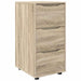 Dulap de depozitare Stejar Sonoma 40 x 48 x 81 cm Lemn compozit - WALTI WALTI
