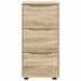 Dulap de depozitare Stejar Sonoma 40 x 48 x 81 cm Lemn compozit - WALTI WALTI