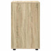Dulap de depozitare Stejar Sonoma 40 x 48 x 81 cm Lemn compozit - WALTI WALTI
