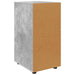 Dulap de depozitare Gri din beton 40 x 48 x 81 cm Lemn compozit - WALTI WALTI