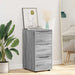 Dulap de depozitare Gri Sonoma 40 x 48 x 81 cm Lemn compozit - WALTI WALTI