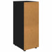 Dulap de depozitare Negru 40 x 48 x 105 cm Lemn compozit - WALTI WALTI