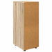 Dulap de depozitare Stejar Sonoma 40 x 48 x 105 cm - WALTI WALTI