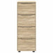 Dulap de depozitare Stejar Sonoma 40 x 48 x 105 cm - WALTI WALTI