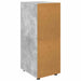 Dulap de depozitare Gri din beton 40 x 48 x 105 cm - WALTI WALTI