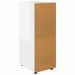 Dulap de depozitare Alb lucios 40 x 48 x 105 cm Lemn compozit - WALTI WALTI
