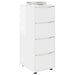 Dulap de depozitare Alb lucios 40 x 48 x 105 cm Lemn compozit - WALTI WALTI