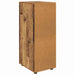 Dulap de depozitare Lemn Vechi 40 x 48 x 105 cm Lemn compozit - WALTI WALTI