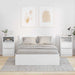 Mese de noptieră 2 pcs Alb 40 x 30 x 467 cm Lemn compozit - WALTI WALTI