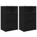Mese de noptieră 2 pcs Negru 40 x 30 x 467 cm Lemn compozit - WALTI WALTI
