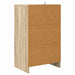 Mese de noptieră cu sertar 2 pcs Stejar Sonoma 40 x 30 x 467 cm - WALTI WALTI