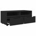Cabinet TV cu sertar Negru 100 x 48 x 43 cm Lemn compozit - WALTI WALTI