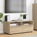 Cabinet TV Stejar Sonoma 100 x 48 x 43 cm Lemn compozit - WALTI WALTI