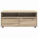 Cabinet TV Stejar Sonoma 100 x 48 x 43 cm Lemn compozit - WALTI WALTI