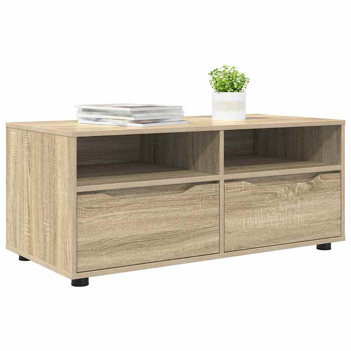 Cabinet TV Stejar Sonoma 100 x 48 x 43 cm Lemn compozit - WALTI WALTI